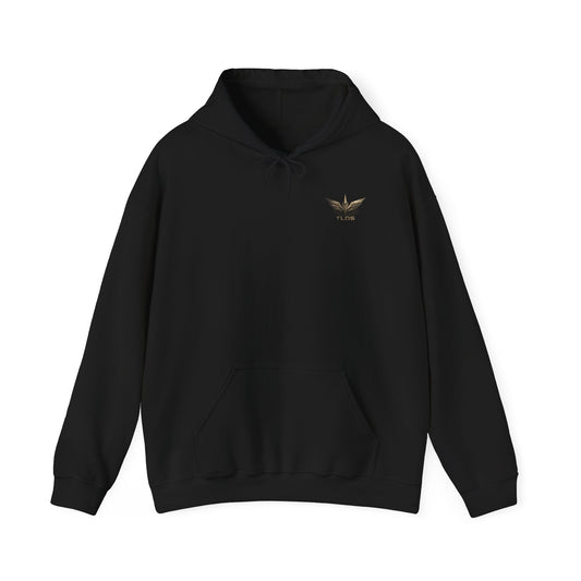 Drone Warrior Hoodie – Sunset Silhouette Graphic Pullover