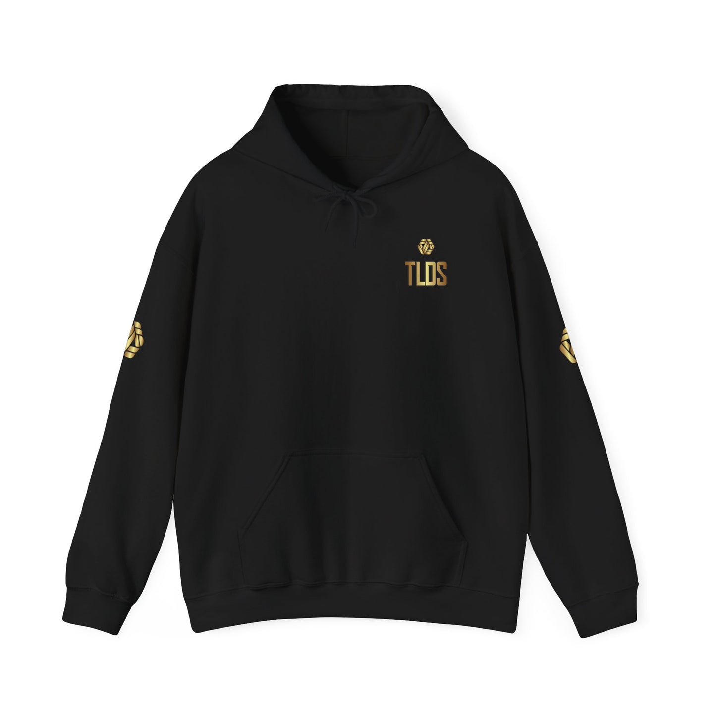 Patriotic semiquincentennialhoodie -Weapons Change Freedom Doesnt