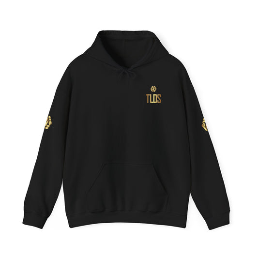 Patriotic semiquincentennialhoodie -Weapons Change Freedom Doesnt
