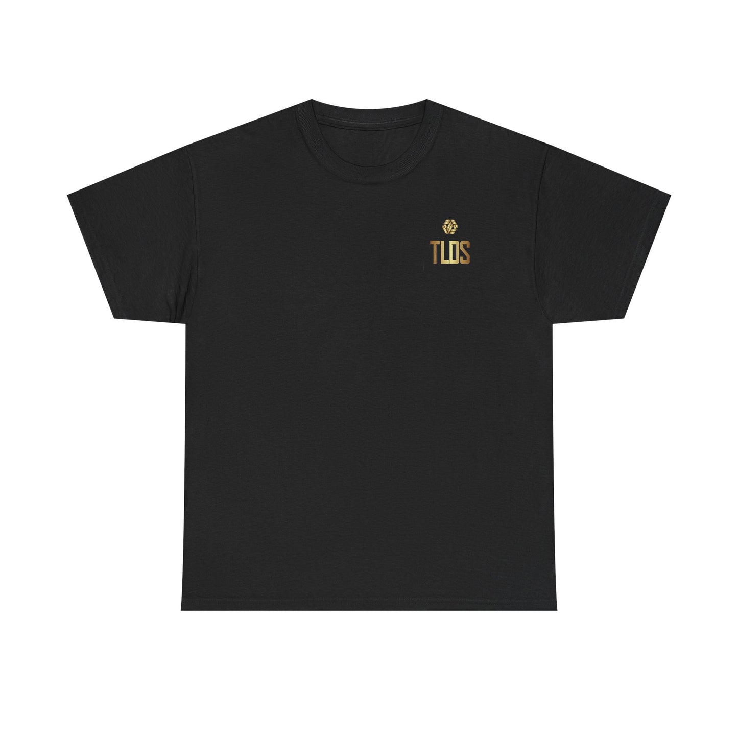 Patriotic semiquincentennial T-Shirt- Weapons change Freedom doesnt